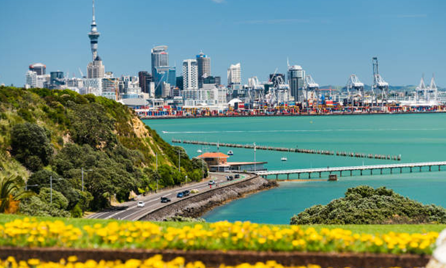 Auckland South